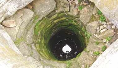 Λάρισα: Πυροσβέστες έσωσαν σκύλο που έπεσε σε πηγάδι βάθους 7 μέτρων