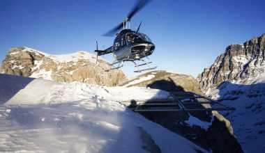 Γιούτα: Ελικόπτερο πέφτει εκτός ελέγχου πάνω σε δέντρα – Τέσσερις τραυματίες ο ένας σοβαρά