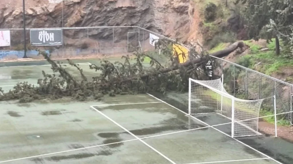Έπεσαν δέντρα σε γήπεδο ποδοσφαίρου στην Ηλιούπολη