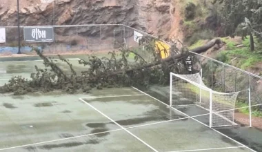 Έπεσαν δέντρα σε γήπεδο ποδοσφαίρου στην Ηλιούπολη