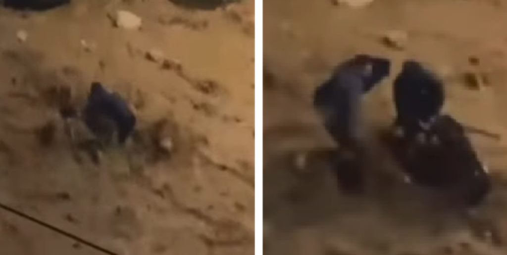 Βίντεο: Γυναίκα πήγε να παρασυρθεί από τα ορμητικά νερά στην Άνω Γλυφάδα – Την έσωσαν την τελευταία στιγμή