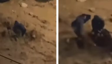 Βίντεο: Γυναίκα πήγε να παρασυρθεί από τα ορμητικά νερά στην Άνω Γλυφάδα – Την έσωσαν την τελευταία στιγμή