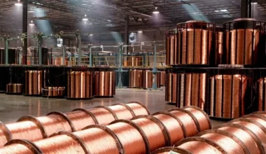 O Μιχαήλ Στασινόπουλος ο νέος πρόεδρος της Βιοχάλκο