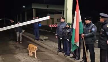 Βίντεο: Η Ρουμανία γίνεται πλήρες μέλος της ζώνης Σένγκεν και ο πρώτος που διασχίζει τα σύνορα είναι ένας σκύλος!