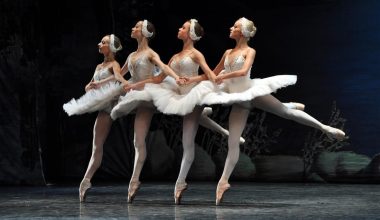 Ουκρανοί χορευτές μπαλέτου αντιμετωπίζουν απόλυση για παράσταση με Τσαϊκόφσκ!ι