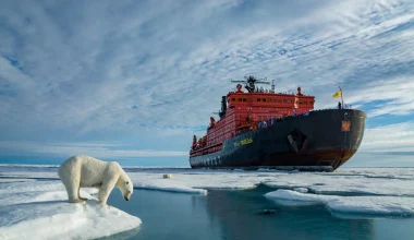 Βίντεο: Ρωσικό πυρηνοκίνητο παγοθραυστικό «λιώνει» πάγους στην Θάλασσα του Κάρα παρακολουθούμενο από πολική αρκούδα