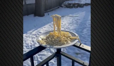 ΗΠΑ: Πολικές θερμοκρασίες στη Μινεσότα – Μακαρόνια πάγωσαν στον… αέρα! (βίντεο)