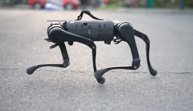 Βίντεο: Σκύλοι ρομπότ στην Κίνα φυλάνε τις εγκαταστάσεις ηλεκτρικής ενέργειας μέσα σε χιόνια και πάγους!