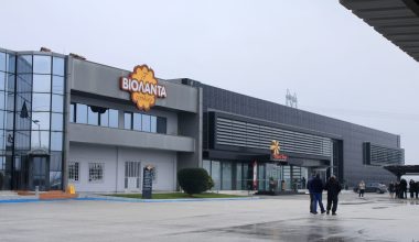 Βιολάντα: H ανακοίνωση της εταιρείας μετά την σύλληψη του ιδιοκτήτη της