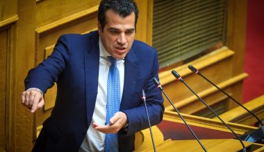 Θ.Πλεύρης για παράνομους μετανάστες: «Ότι ευκαιρία ήταν να δώσει η πολιτεία την έδωσε»