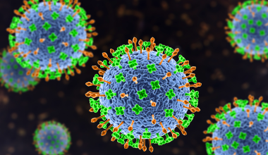 Σε επιφυλακή η Ασία για τον θανατηφόρο ιό Νίπα: Το Πακιστάν αυξάνει τους ελέγχους στα σύνορα και στα αεροδρόμια