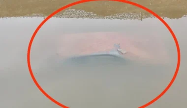 Βάρη: Εμφανίστηκε αυτοκίνητο που είχε βυθιστεί στο ρέμα Κόρμπι μία εβδομάδα μετά την κακοκαιρία