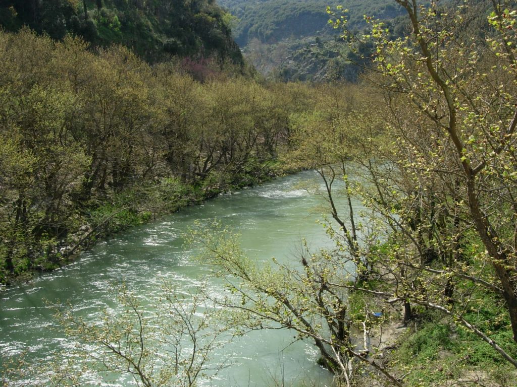 Κακοκαιρία: Υπερχείλισε ο ποταμός Καλαμάς στην περιοχή της Σαγιάδας – Ζημιές σε καλλιέργειες