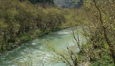 Κακοκαιρία: Υπερχείλισε ο ποταμός Καλαμός στην περιοχή της Σαγιάδας – Ζημιές σε καλλιέργειες