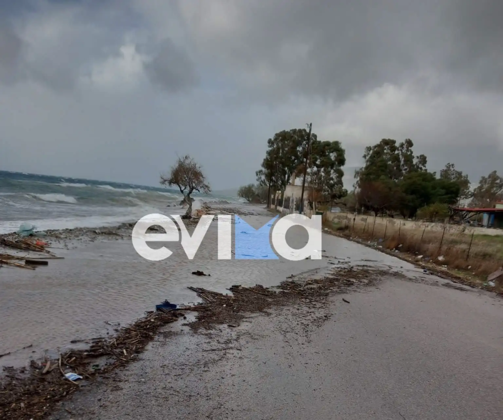Κακοκαιρία στην Εύβοια: Πλημμύρισαν δρόμοι και έγιναν ποτάμια – Ξεριζώθηκε δέντρο (φώτο-βίντεο)