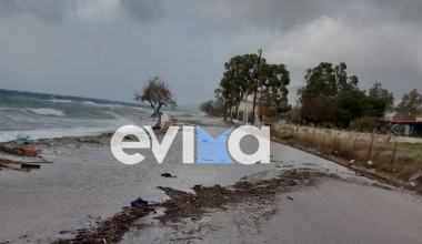 Κακοκαιρία στην Εύβοια: Πλημμύρισαν δρόμοι και έγιναν ποτάμια – Ξεριζώθηκε δέντρο (φώτο-βίντεο)