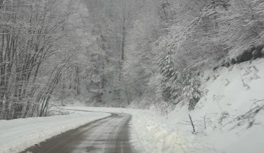 Έντονη χιονόπτωση πλήττει τις Σέρρες: Τουλάχιστον 15 άτομα εγκλωβίστηκαν με τα οχήματά τους