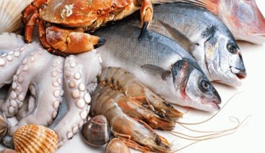 «Τσουχτερό» το τραπέζι της Σαρακοστής: Πόσο αυξήθηκαν οι τιμές των θαλασσινών