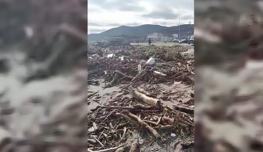 Λάρισα: Τεράστιες οι καταστροφές στον Αγιόκαμπο από το πέρασμα της κακοκαιρίας (βίντεο)