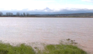 Κιλκίς: Περισσότερα από 10.000 στρέμματα πλημμύρισαν στον κάμπο Πολυκάστρου – Μεγάλες ζημιές (βίντεο)