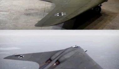 Horten Ho 229: Ο «πρόγονος» του B-2 Spirit!