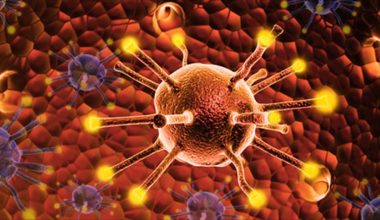 Αυξάνονται τα κρούσματα καρκίνου στην Ευρώπη: Ποιες είναι οι 14 κινήσεις που βοηθούν στην πρόληψη