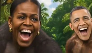 Ν.Τραμπ: Το βίντεο που δημοσίευσε το οποίο δείχνει το ζεύγος Ομπάμα ως… πιθήκους