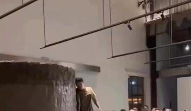 H «Rotating Mud» (περιστρεφόμενη λάσπη) πουλήθηκε για 8,2 εκατομμύρια δολάρια! (βίντεο)