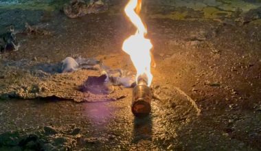 Ένταση στο κέντρο της Θεσσαλονίκης ανάμεσα σε ομάδα κουκουλοφόρων και σε δυνάμεις των ΜΑΤ (φωτο)