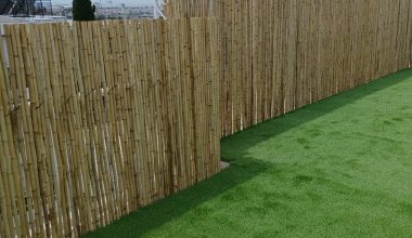 Η Κίνα δημιούργησε πλαστικό από μπαμπού!