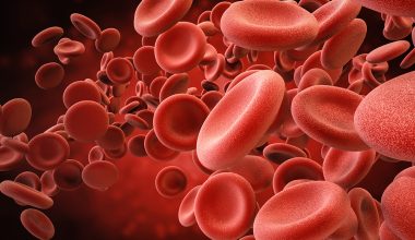 Αιμορραγικός πυρετός: Ποιοι ιοί τον προκαλούν και πώς μεταδίδονται