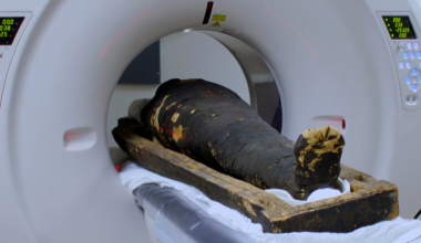 Δείτε τι αποκάλυψαν όταν έκαναν αξονική τομογραφία σε δύο αιγυπτιακές μούμιες 2.000 ετών (βίντεο)