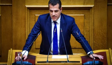 Θ.Πλεύρης για μέλη ΜΚΟ: «Αρκετά με τις προκλήσεις των επαγγελματιών ανθρωπιστών»