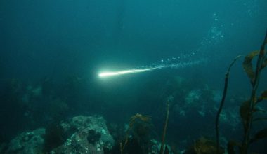 Το φωτεινό αντικείμενο που κατέγραψε κάμερα ιαπωνικού ROV και δεν εξηγήθηκε ποτέ