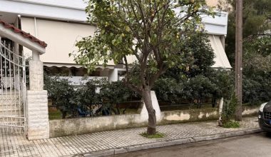 Θάνατος 71χρονης στην Ελευσίνα – Πρώην σύζυγος 44χρονης κόρης: «Χτύπησε στον ώμο και ξεψύχησε σε 3 λεπτά»