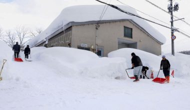 Ιαπωνία: Τουλάχιστον 46 οι νεκροί από τις σφοδρές χιονοπτώσεις (βίντεο)