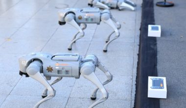 «Ρομπότ σκύλοι» στην υπηρεσία των μεξικανικών Αρχών για το Μουντιάλ 2026 (φώτο)