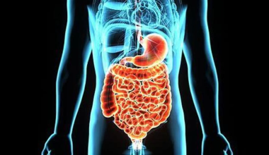 Απόφραξη εντέρου: Ποιες οι αιτίες και τι συμπτώματα προκαλεί