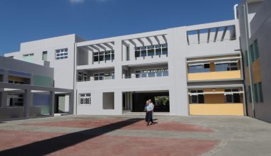 Χαλάνδρι: Η διευθύντρια έβαζε μαθητές να μαζεύουν πευκοβελόνες – «Ξεχώριζε τα παιδιά» λένε γονείς