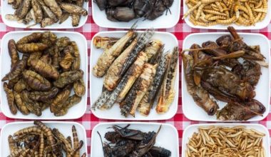 Καναδή αναλύτρια: «H ΕΕ προτιμά να τρώει έντομα παρά να είναι ρεαλίστρια σχετικά με τα ενεργειακά της προβλήματα»