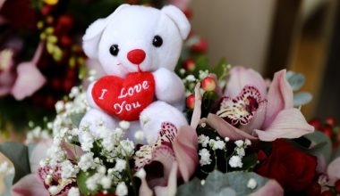 Κλοπή με… άρωμα Αγίου Βαλεντίνου στη Θεσσαλονίκη: Άρπαξαν λούτρινα αρκουδάκια από ανθοπωλείο (βίντεο)