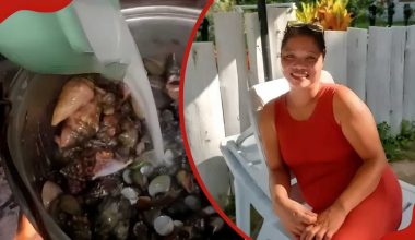 Φρικτός θάνατος για food vlogger στις Φιλιππίνες: Έφαγε τοξικό κάβουρα για ένα βίντεο και πέθανε από δηλητηρίαση