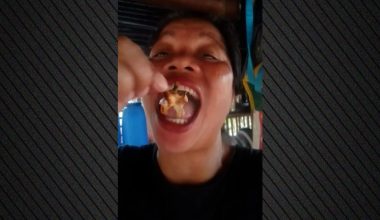 Νεκρή 51χρονη Φιλιππινέζα influencer που έφαγε το «καβούρι του διαβόλου»: Eμφάνισε έντονους σπασμούς