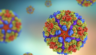 Επείγουσα προειδοποίηση από το CDC για τον ιό chikungunya: Ποια τα συμπτώματά του και πώς μεταδίδεται