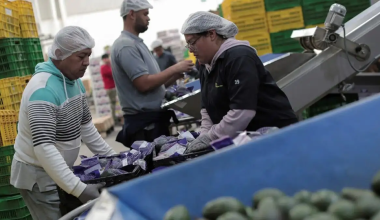 Το Μεξικό μειώνει σε 40 από 48 ώρες την εργάσιμη εβδομάδα