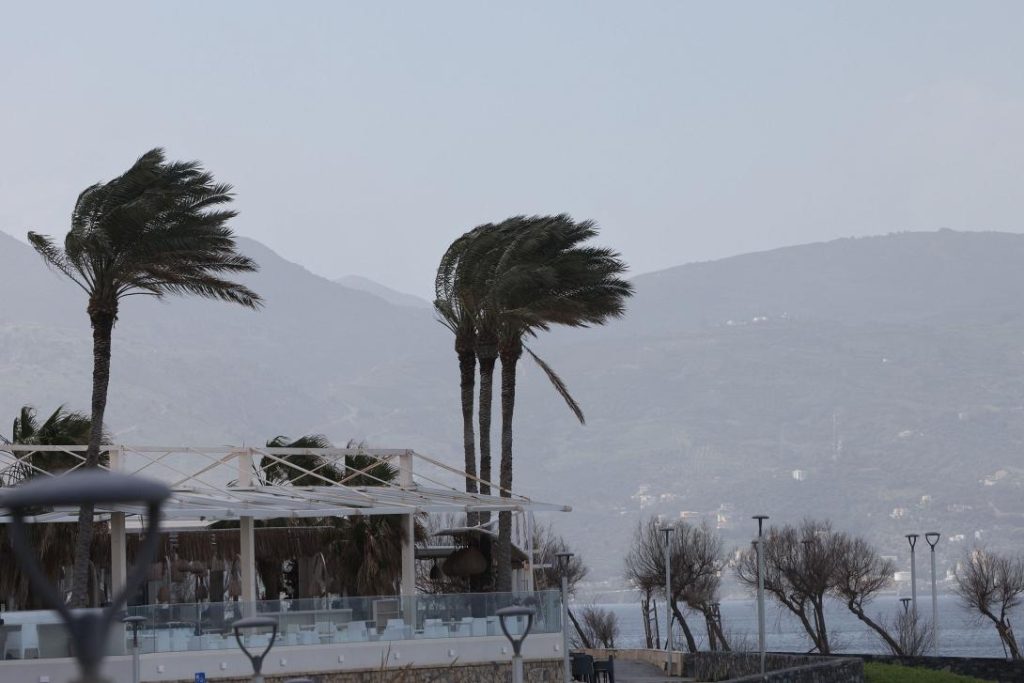 «Σαρώνουν» την Κρήτη οι ισχυροί άνεμοι: Πτώσεις δέντρων και καθυστερήσεις πτήσεων στο «Ν.Καζαντζάκης»