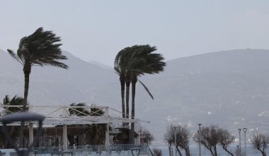 «Σαρώνουν» την Κρήτη οι ισχυροί άνεμοι: Πτώσεις δέντρων και καθυστερήσεις πτήσεων στο «Ν.Καζαντζάκης»