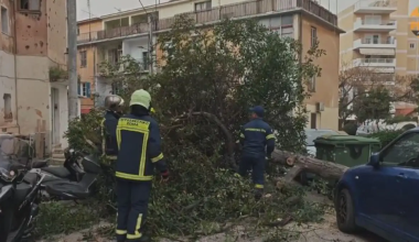 Οι ισχυροί άνεμοι «σαρώνουν» την Αττική – Πτώσεις δέντρων σε αρκετές περιοχές
