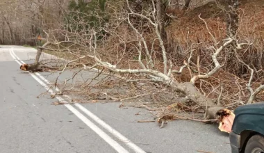 Θυελλώδεις άνεμοι «σαρώνουν» τη Σαμοθράκη: Xωρίς ηλεκτρικό ρεύμα μεγάλο μέρος του νησιού