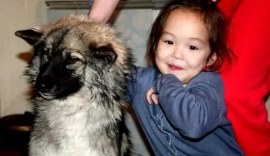 Καρίνα Τσικίτοβα: Η 3χρονη που επιβίωσε 12 ημέρες στην τούνδρα της Σιβηρίας χάρη στον σκύλο της! (βίντεο)